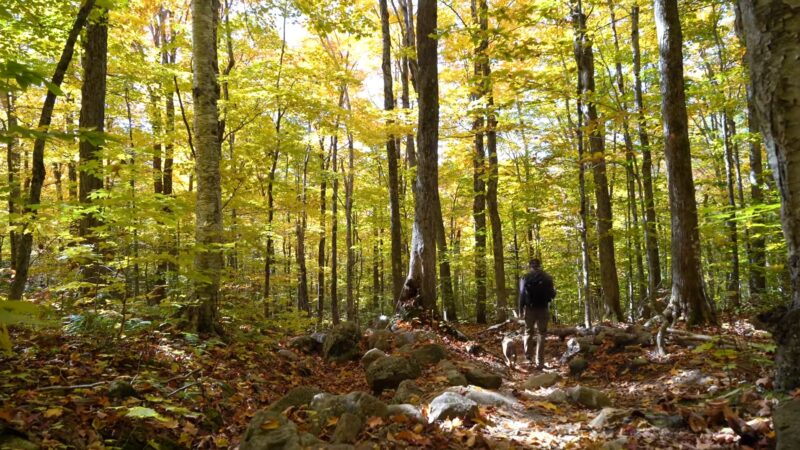 Hiking the Franconia Hiking in New Hampshire