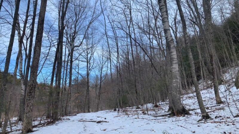 South Mountain Fire Tower Hike at Pawtuckaway State Park-Nottingham