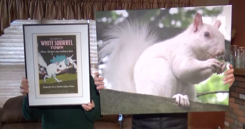 White Squirrels Paintings